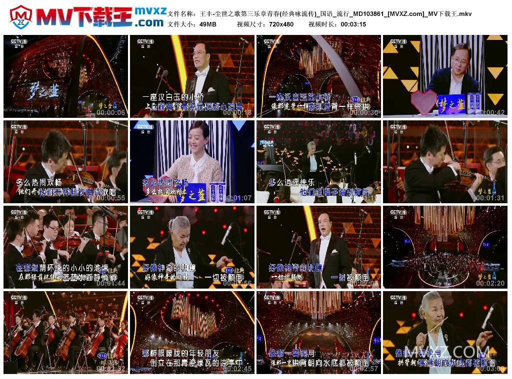 王丰-尘世之歌第三乐章青春(经典咏流传)_国语_流行_MD103861